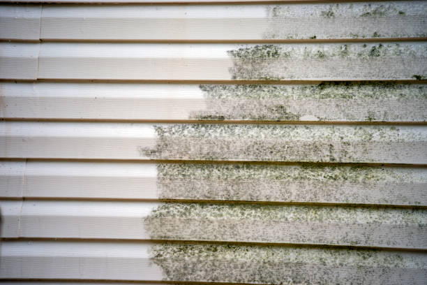  Parma Heights, OH Junk Removal Pros